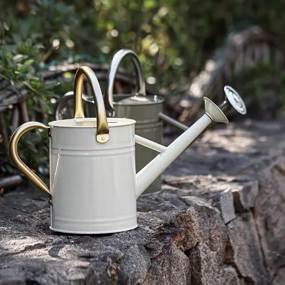 微信图片_20251128154212_278_7 High-Quality European Style 4L Wrought Iron Watering Can - Indoor/Outdoor Use with Dual Spouts (Shower & Regular) - Image 1